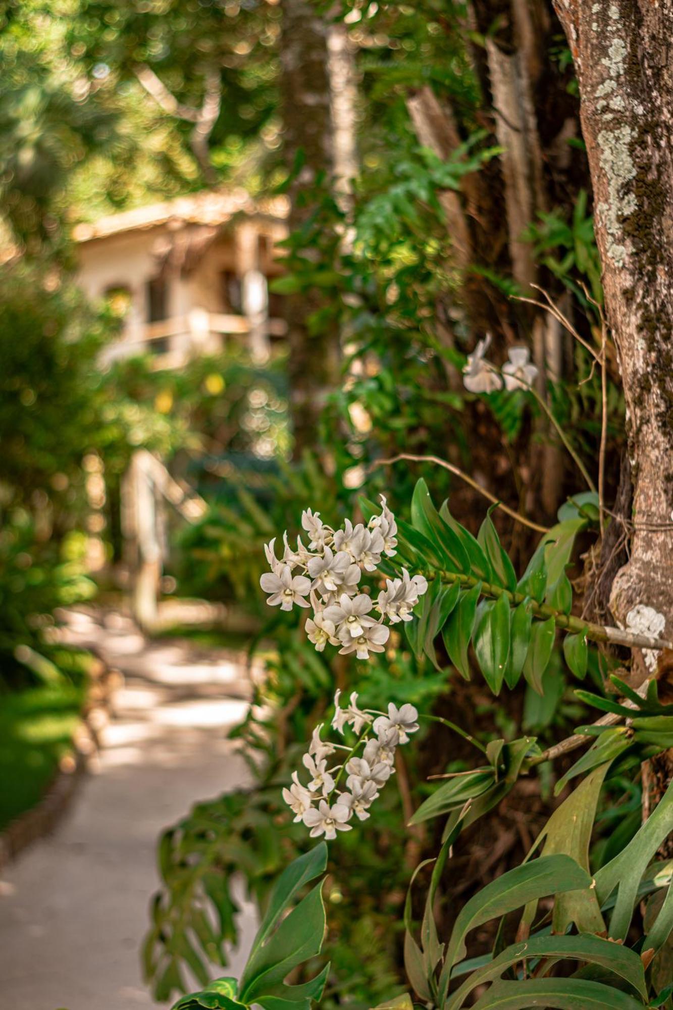 Hotel Boutique Bahia Bonita Trancoso Exterior foto